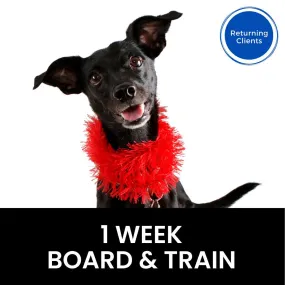 1 Week Board & Train (Returning Clients)