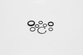 19187GT Seal Kit (45497 45653 Pumps) | Genuine Genie