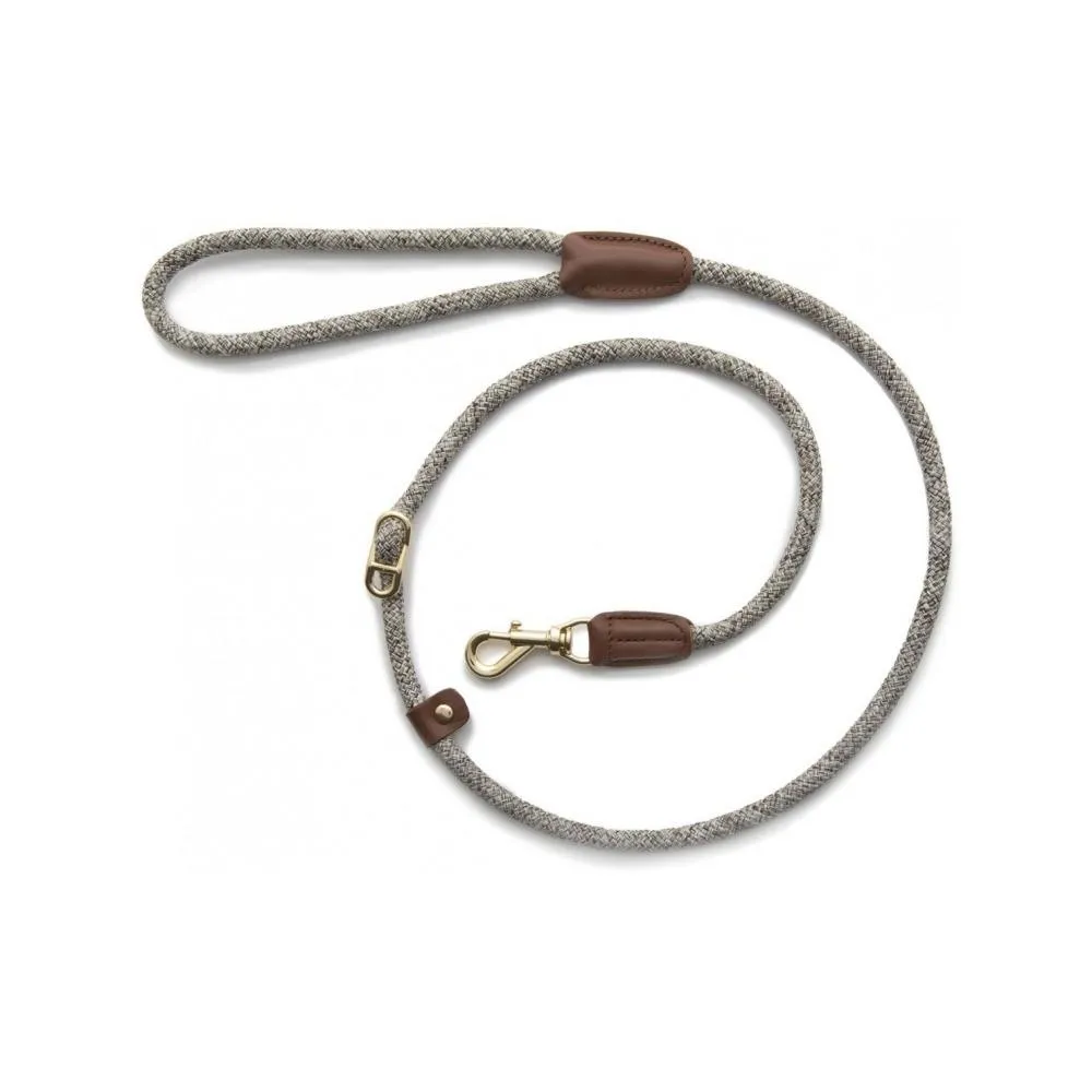 Metro Collar & Slip Leash