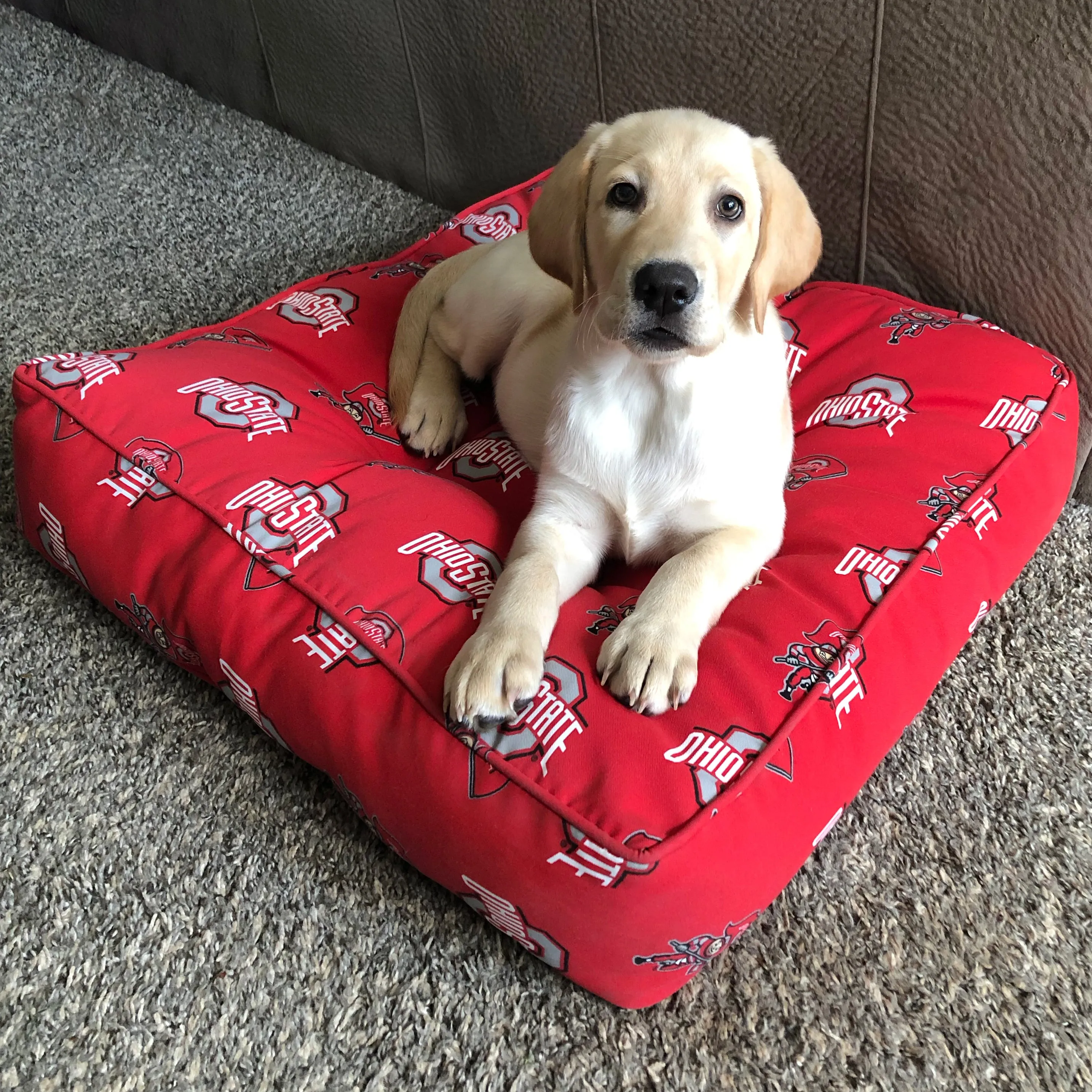 North Carolina Tar Heels Floor Pillow or Pet Bed, 24" x 24" Square