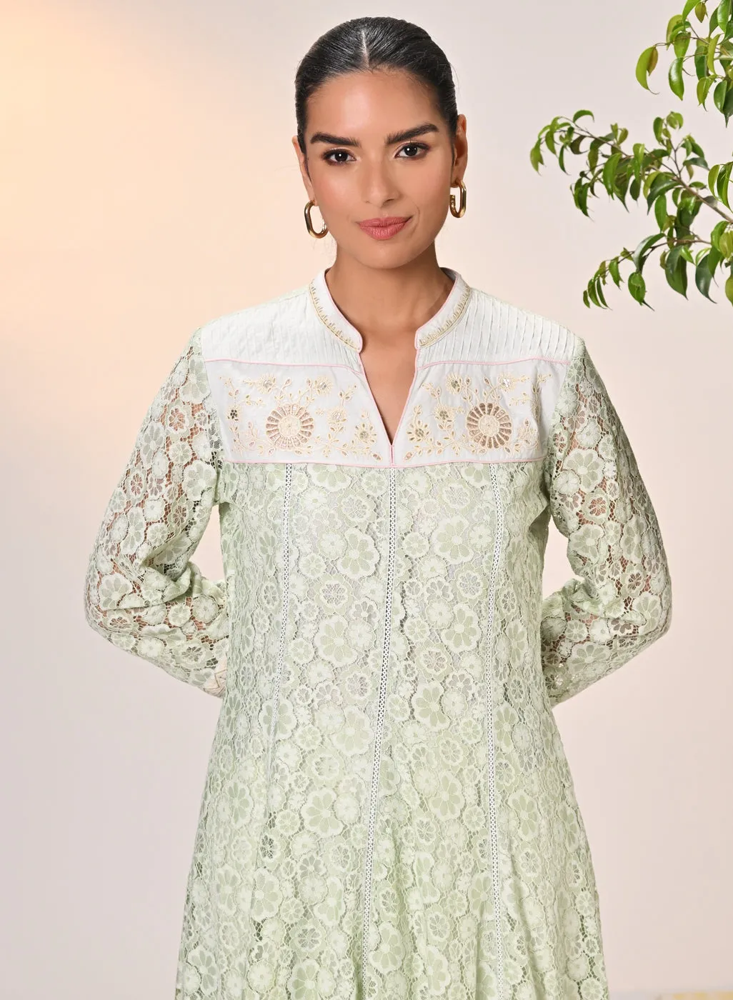 Roza Salmon Green Embroidered Raschel Net Designer
Dress for Women