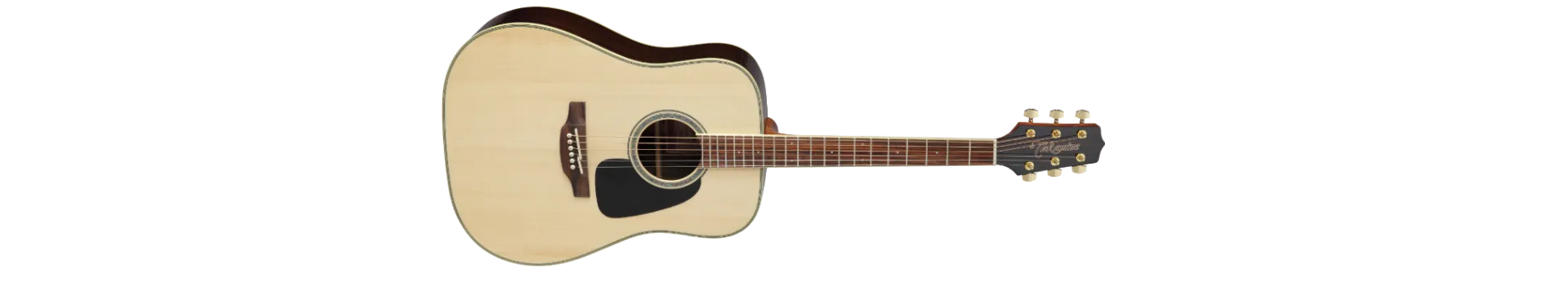 Takamine GD51-NAT