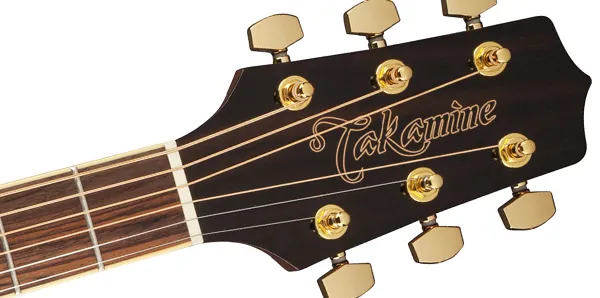 Takamine GD51-NAT